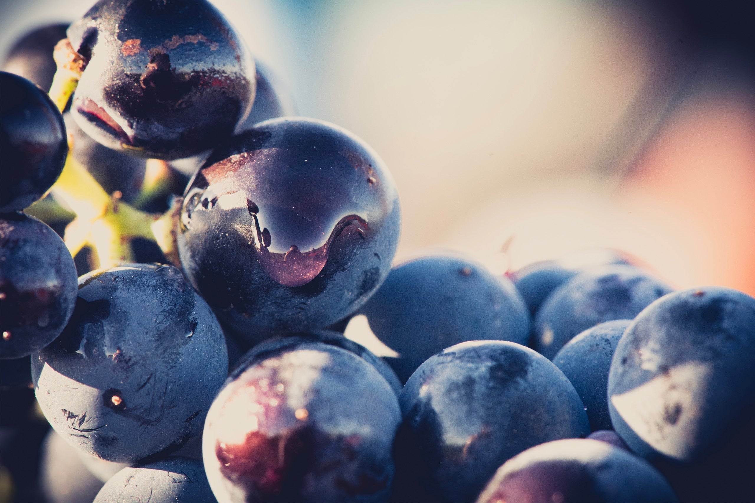 NOTRE SÉLECTION ROSÉ POUR CET ÉTÉ